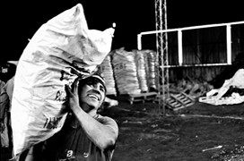 Carboneros del Chaco